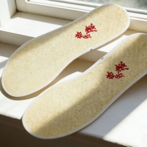 Loofah Shoe Insole