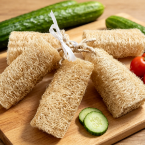 Natural Loofah Segment
